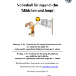 Flyer Volleyball Jugendliche